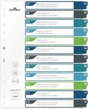 Durable 679627 Register DIN A4+ 1-12 Meerdere kleuren 12 tabbladen