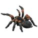 Bullyland 68453 - Rode Knie Vogelspin Speelfiguur