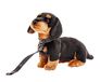 Uni-Toys - Teckel (met riem) - 27 cm - pluche hond