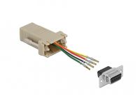 Delock 66770 D-Sub 9 pin female to RJ11/RJ14 female adapter, Grey
