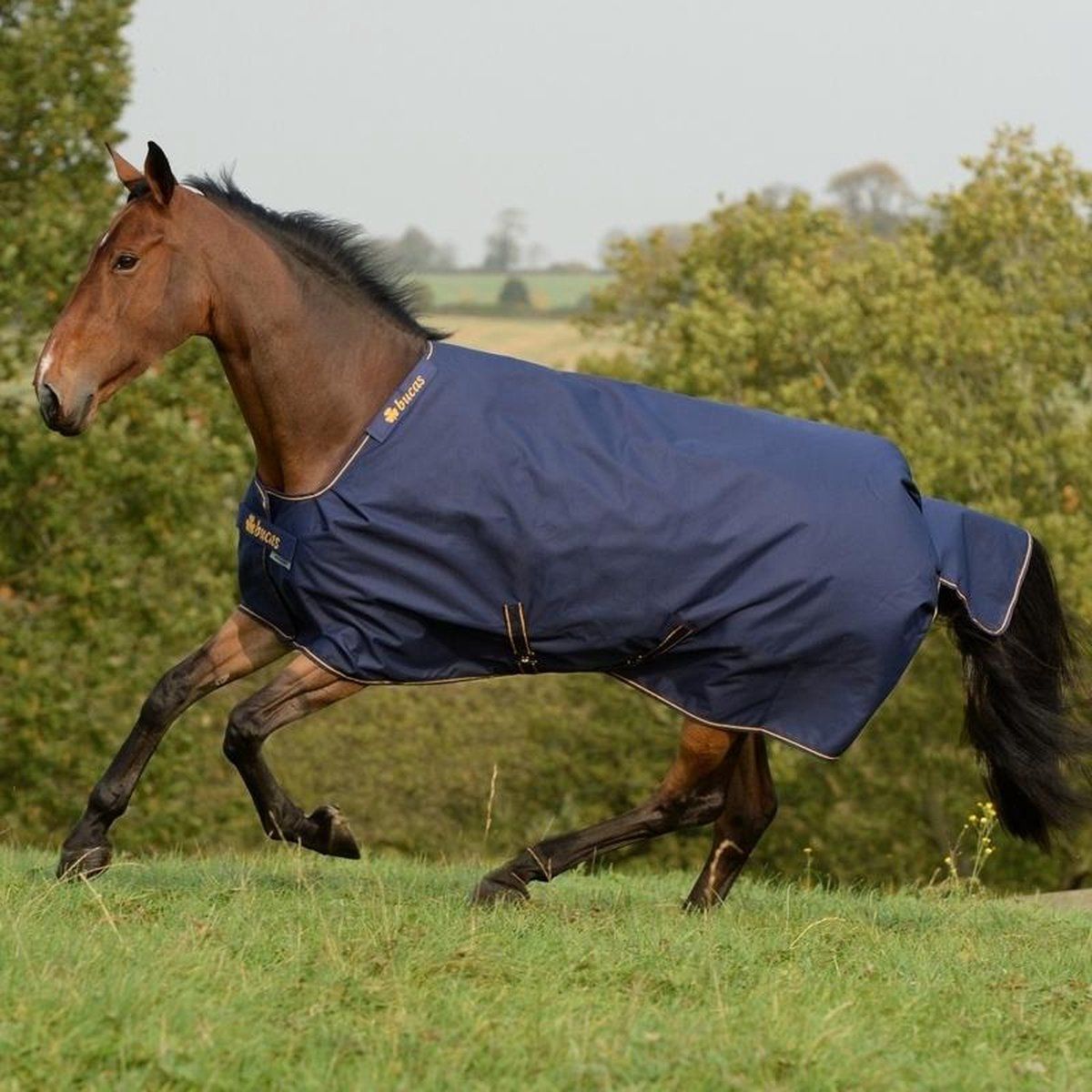 Bucas Irish Turnout 150 198 Navy / Goud