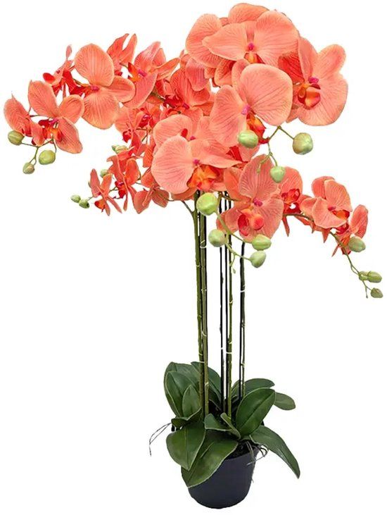 Buitengewoon Boet Orchidee Kunstplant 6-tak 88 cm - Oranje
