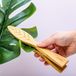 Kikkerland pince à poussière pour plantes