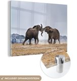 MuchoWow® Glass Painting 40x30 cm - Acrylic Glass Painting - Elephant - Animals - Plain - Nature - Photo on Glass - Paintings