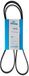 Dayco 6PK1453 riem