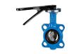 RIEGLER 103681-350.6040B tussenflens afsluitklep, handhendel, DN 40, 1 st
