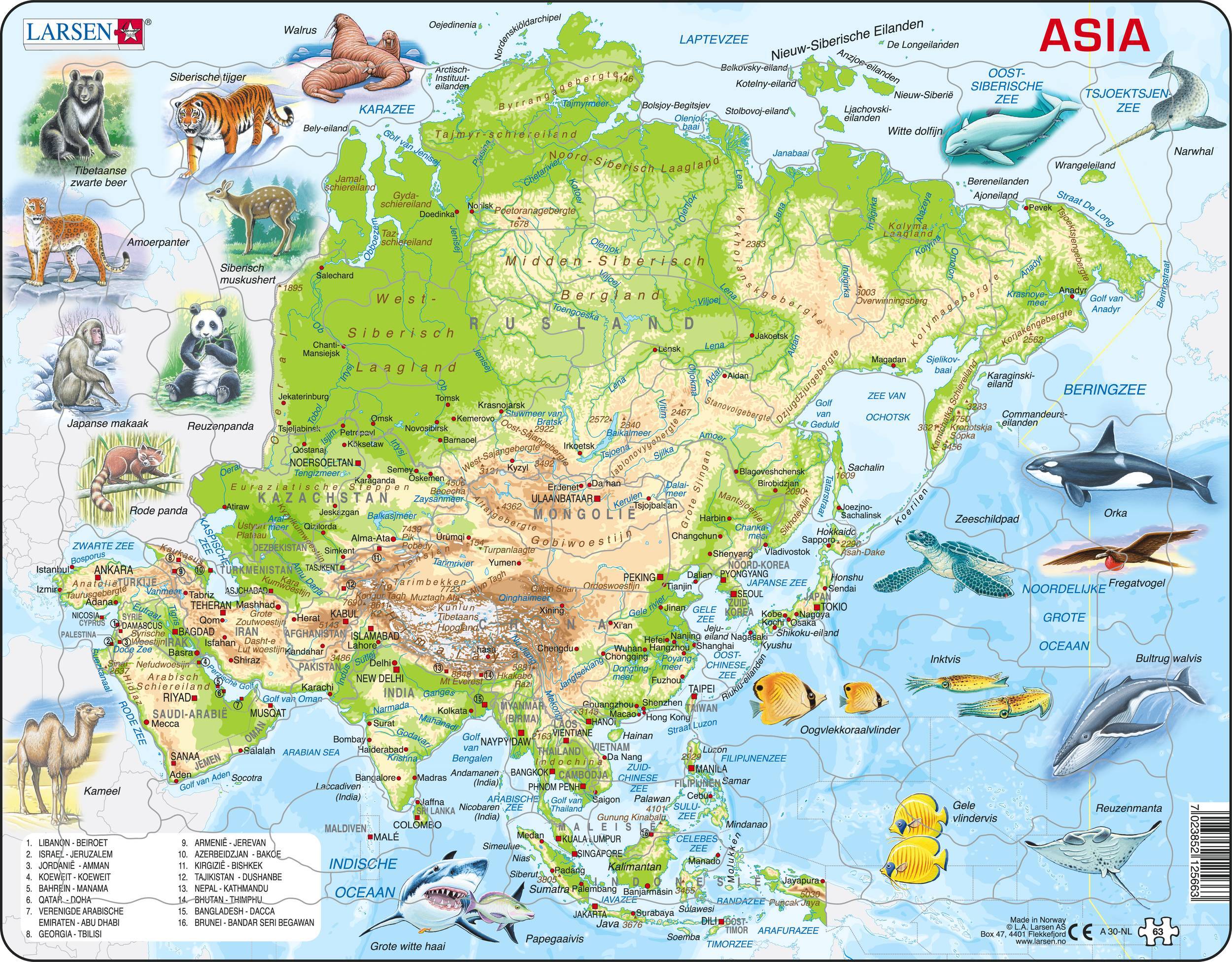 Larsen Maxi Kaart  Azië Geografisch met Dieren 63 stukjes