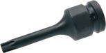 SW-Stahl 62330L-M16, set de 5 brosses en laiton, diamètre 16 mm