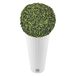 WellHome pot de fleurs de 27 litres avec espace de rangement 30 x 30 x 57,2 cm en blanc + boule de buis Ø 36 cm