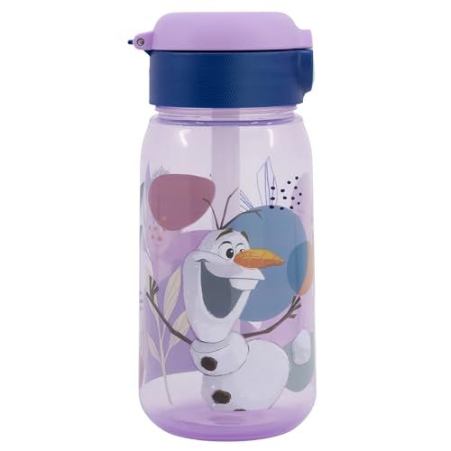 ACTIEVE FROZEN TRUST THE JOURNEY ACTIEVE FLES 510 ML