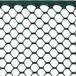 TENAX Grillage hexagonal en plastique vert pour balcon/terrasse - 1,2 x 50 m
