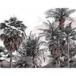LUMALÉA Forêt Tropicale Papier Peint Panoramique - 322 Cm X 255 Cm