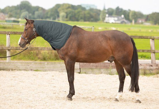 Harry's Horse Thor Halsstuk - 200 Gram - Ebony - Maat S