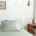 Boomba Bamboo Premium 2 bamboe kussenslopen 100% biologisch bamboe 400TC Sage Green 40x80