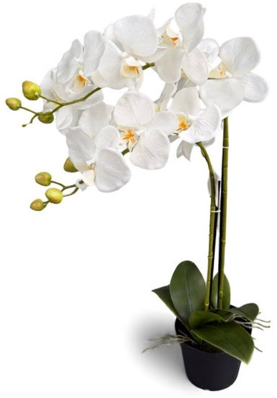 Oosterik Home Orchidee wit in pot H 63 cm kunstplant