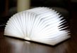 Gingko Lampe de lecture intelligente Noyer Grand modèle - 0700900317269