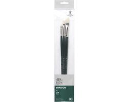 Winsor & Newton Winton Oliepenselen Set – 3 Lange Penselen voor Olieverf (Short Flat / Varkenshaar in de maten 2, 4 en 8 )