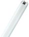 Osram L36W/865 - Fluorescente lamp - 3250 lumen - 6500 kelvin - G13 - 36 watt - wit