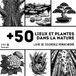 Livre Monochrome Coloring Book: Places and Plants in Nature