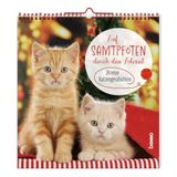Auf St. Benno Verlag GmbH Auf Samtpfoten durch den Advent