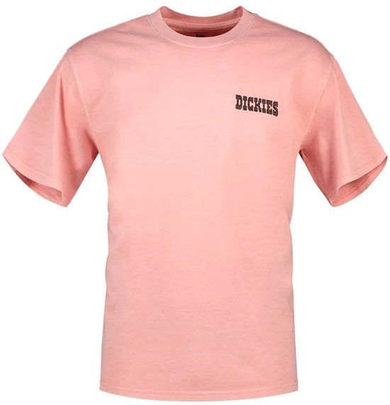 Dickies Buchtell T-shirt Roze XL Man