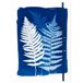 Clairefontaine - 83512C - Elastisch map, 22x31 cm, 3 flappen A4, bloemen/cyanotype decor - Praktisch en robuust voor documenten - Ideaal voor kantoor, archivering en organisatie - Cyanotype
