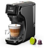 HiBREW H1B