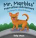 Mr. Marbles' Marvelous Adventure: A Story of a Second Chance - Hardcover