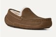Ugg - Ascot Pantoffels Bruin Heren Maat 44