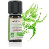 Provensina Smithii Eucalyptus Organic Essential Oil, 10 ml
