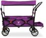 FUXTEC FUXLIFE by FUXTEC CT800 Bolderkar - Opvouwbaar - Paars