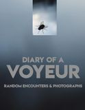 Diary of a Voyeur