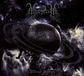 Bertus Distributie Mysticum Planet Satan
