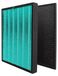 Coway Filtre de remplacement pour purificateur d'air HEPA H13 + charbon actif, compatible avec Coway AP-1516D