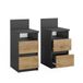 Vicco Monty Table de chevet – Set de 2 anthracite/chêne doré