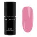 NeoNail Blooming Dreams, Stellar Pink Vernis Hybride, 7,2 ml