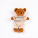 Abi Egmont Toys Knuffelbeer Gabin Baby Pluche Speelgoed 13 cm