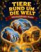 Adventskalender Kinder 5-10 Jahre: 24 Tiere rund um die Welt: Reisegeschichten zum Vorlesen und Ausmalen, mit großer Landkarte | Weihnachtsgeschenk für Mädchen und Jungen