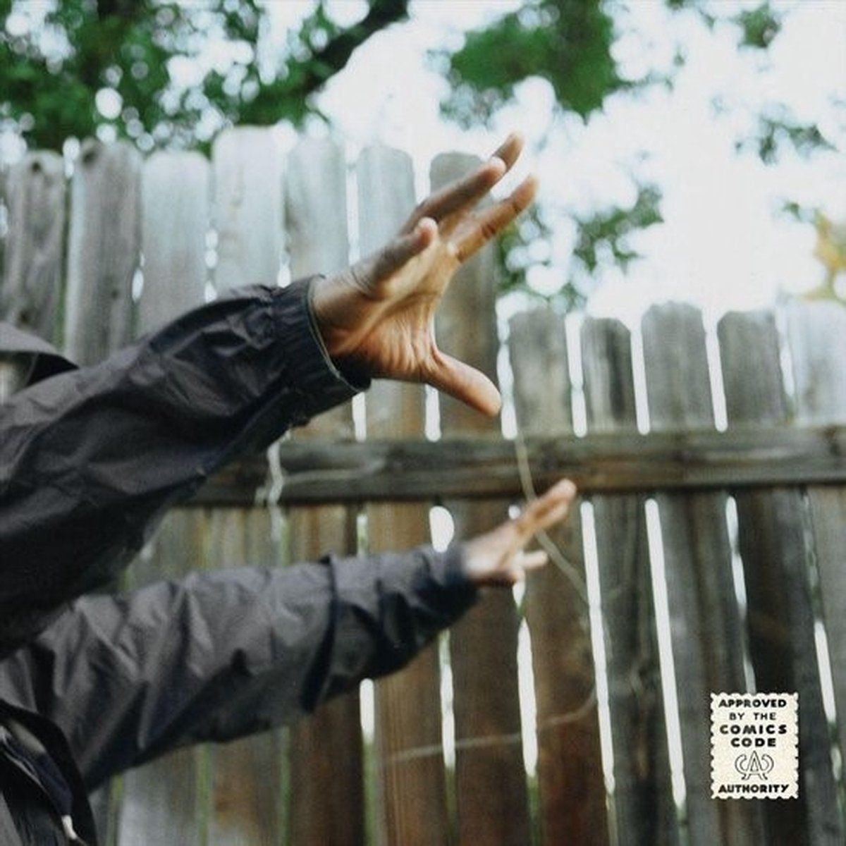 PIAS Nederland Madvillain - Madvillainy Remixes (LP)