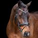 Imperial Riding Hoofdstel Olympia Black-Silver Full