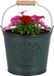 Sunnydays Emmer/plantenpot/bloempot - zink - petrolblauw - D23 x H22 cm