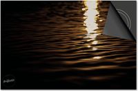 Dietrix Inductie Beschermer - 78x52 cm - Black en Gold - Zee glinstering zon