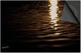 Dietrix Inductie Beschermer - 78x52 cm - Black en Gold - Zee glinstering zon