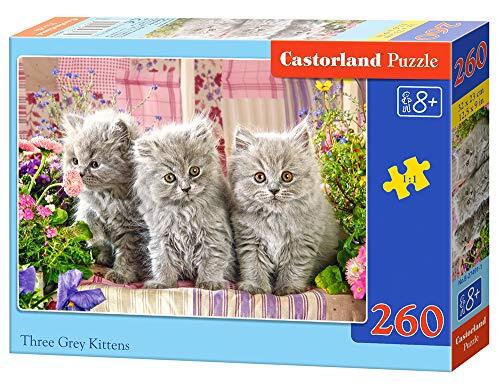 Castorland B-27491-1 Three Grey Kittens, 260 delen puzzel, kleurrijk