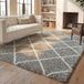 Safavieh Shaggy Tapijt, SGH281, Geweven Polypropyleen, Transctioneel, 243 X 304 cm, Grijs/Ivoor