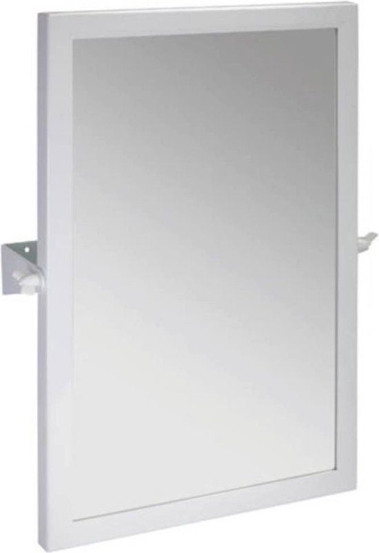 Sapho Kantelbare Badkamer Spiegel - 40x60cm - RVS