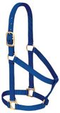 Weaver Leather Basic niet-verstelbaar nylon paardenhalster, blauw, 2,5 cm, groot paard