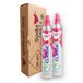 SodaTASTE Cylindre de CO₂ Quick Classic acheter Pack de 2 (cylindre de réserve) pour machine à eau gazeuse avec système Quick Connect, jusqu'à 120l d'eau gazeuse