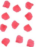 Party Deco Rozenblaadjes in a bag, licht roze (1 zakje met 100 stuks)