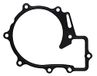 Gasket, Icecat Gasket, water pump